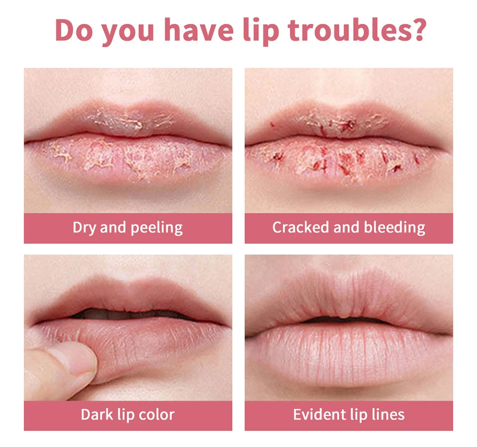 Lápiz labial de miel negro, hidratante de larga duración, maquillaje de labios Natural, brillo de labios, cosméticos exfoliantes para labios